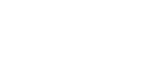Danfoss engineers